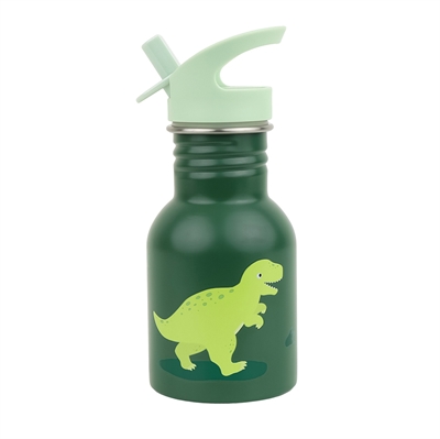 Little Stainless steel drinking bottle - Dinosaurs