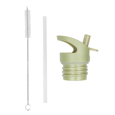 lid, straw & brush set Dinosaurs