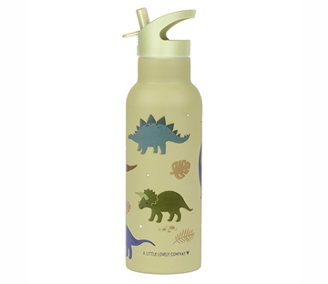XL Stainless steel drinking bottle -  Dinosaurs