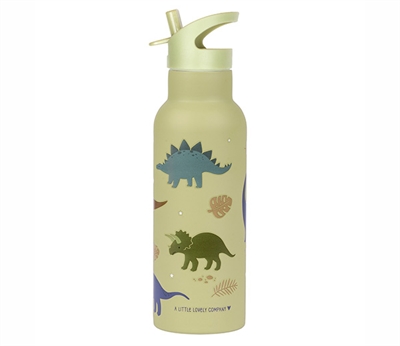 XL Stainless steel drinking bottle -  Dinosaurs