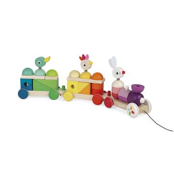 Janod Zigolos Giant Multicolour Train
